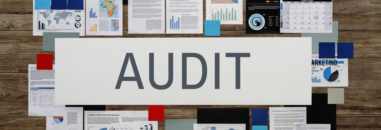 Internal Auditor and Statutory Auditor in Indian Companies